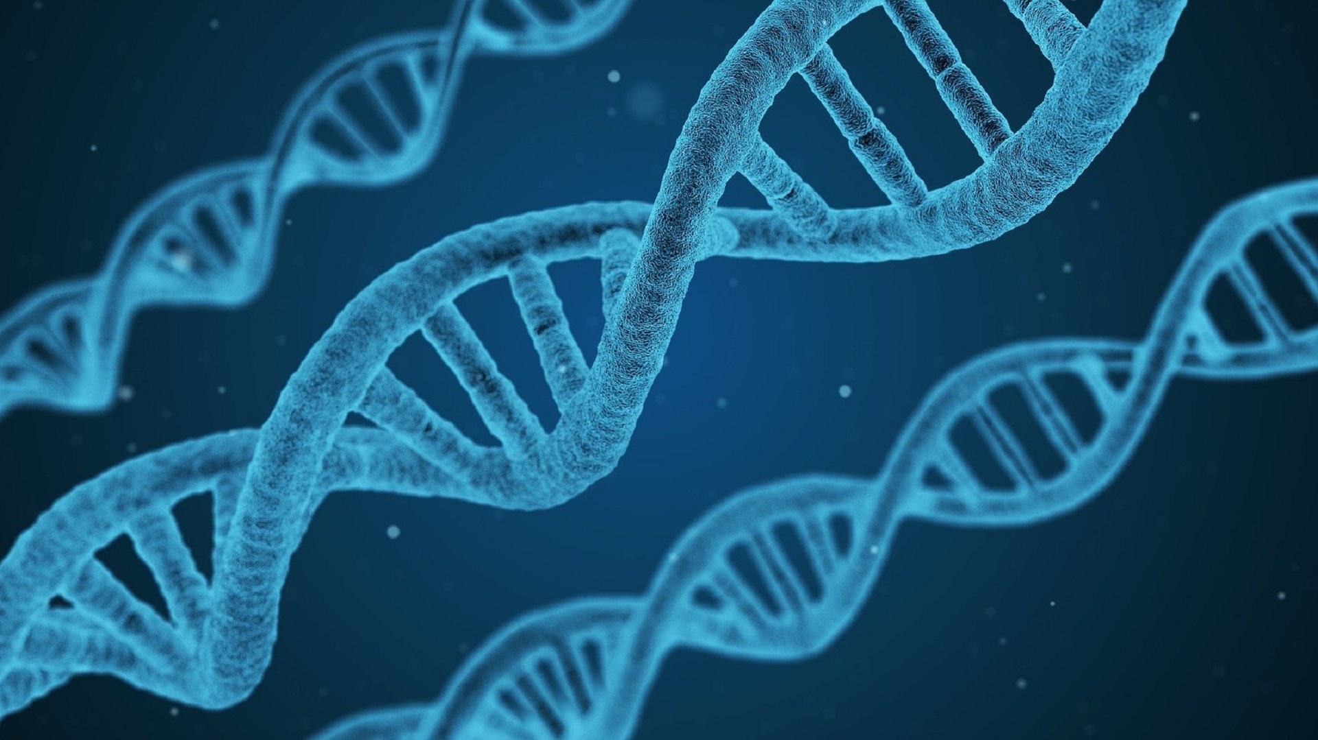 DNA: o maior legado que um pai pode deixar
